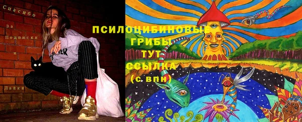 ECSTASY Абинск
