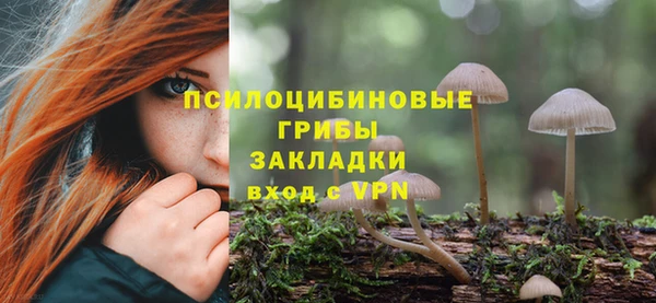соль курить ск Абаза