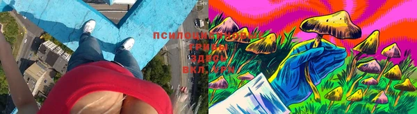 ECSTASY Абинск